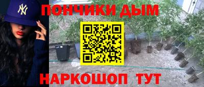 дмт Славгород
