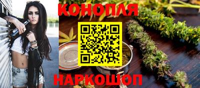 дмт Славгород