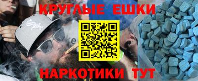 дмт Славгород