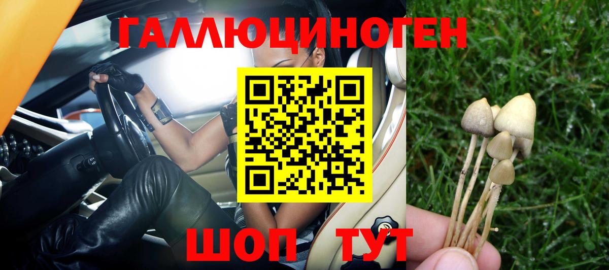 купить наркотики цена  Псилоцибиновые грибы MAGIC MUSHROOMS  Петропавловск-Камчатский  Вход с VPN  Псилоцибиновые грибы Psilocybe 
