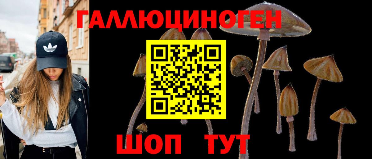 Галлюциногенные грибы MAGIC MUSHROOMS Петропавловск-Камчатский